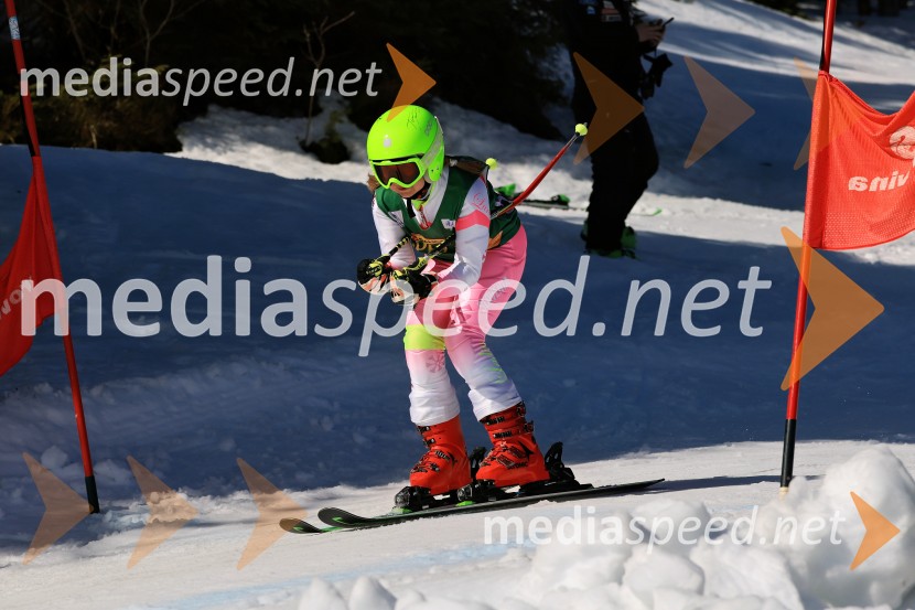 Koroški pokal 2026 - 4. tekma, Kope