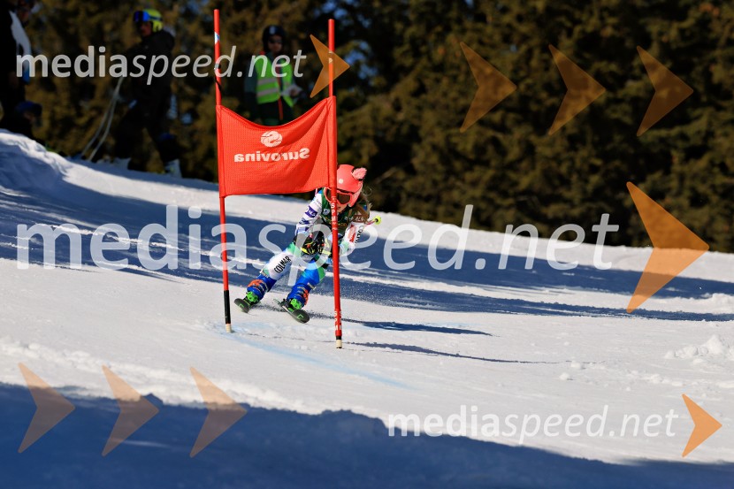 Koroški pokal 2026 - 4. tekma, Kope