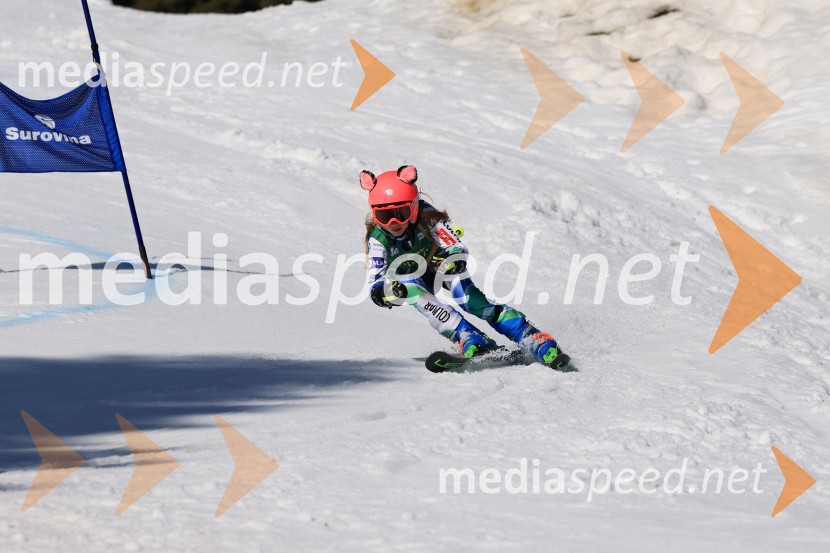 Koroški pokal 2026 - 4. tekma, Kope