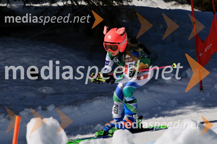 Koroški pokal 2026 - 4. tekma, Kope