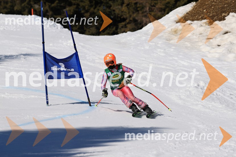 Koroški pokal 2026 - 4. tekma, Kope