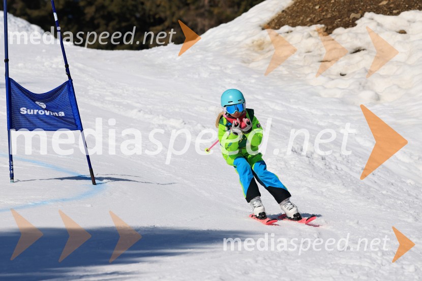 Koroški pokal 2026 - 4. tekma, Kope