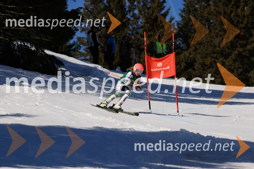 Koroški pokal 2026 - 4. tekma, Kope
