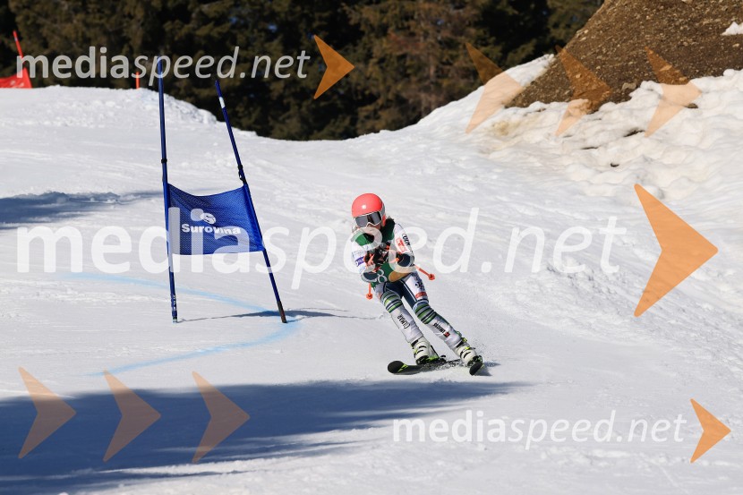 Koroški pokal 2026 - 4. tekma, Kope