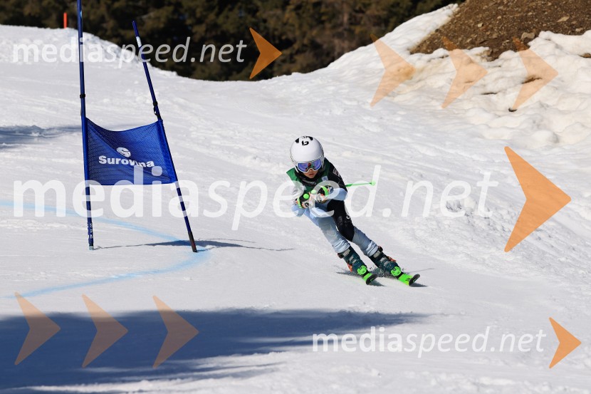 Koroški pokal 2026 - 4. tekma, Kope