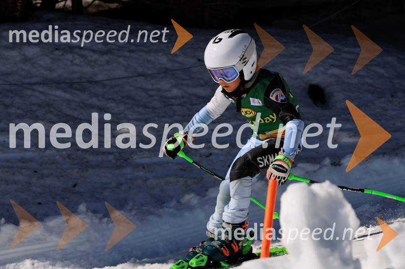 Koroški pokal 2026 - 4. tekma, Kope