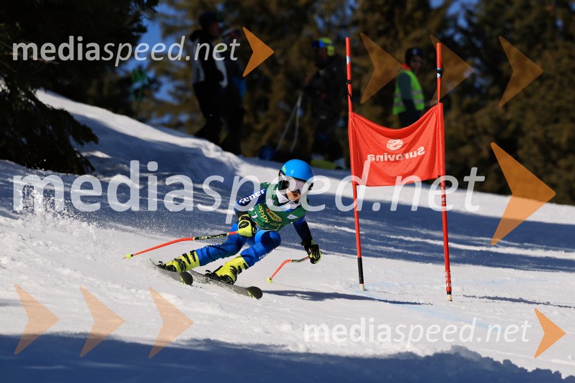 Koroški pokal 2026 - 4. tekma, Kope