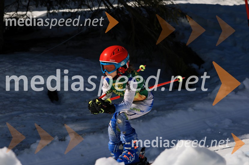 Koroški pokal 2026 - 4. tekma, Kope