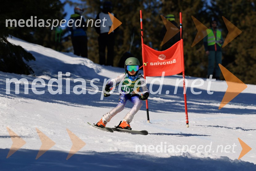Koroški pokal 2026 - 4. tekma, Kope