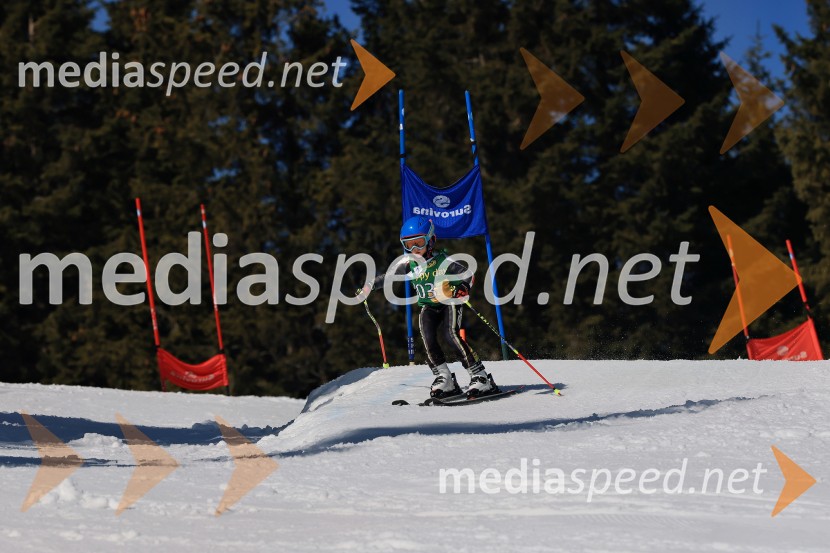 Koroški pokal 2026 - 4. tekma, Kope