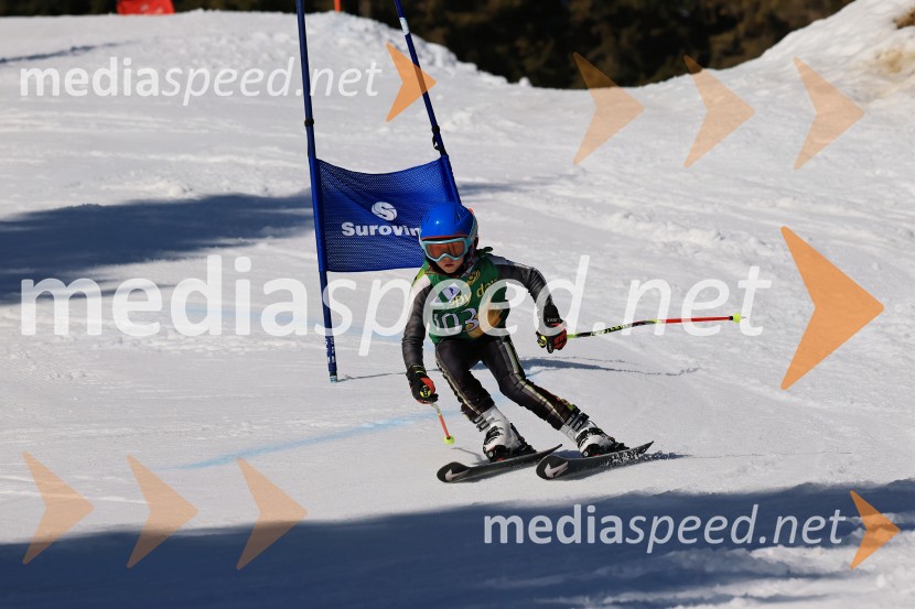 Koroški pokal 2026 - 4. tekma, Kope