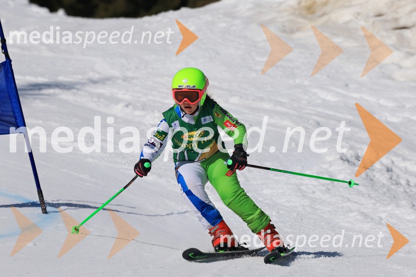 Koroški pokal 2026 - 4. tekma, Kope