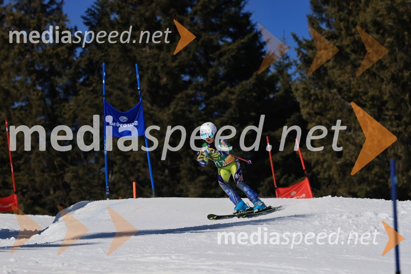 Koroški pokal 2026 - 4. tekma, Kope
