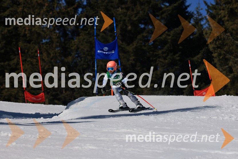 Koroški pokal 2026 - 4. tekma, Kope