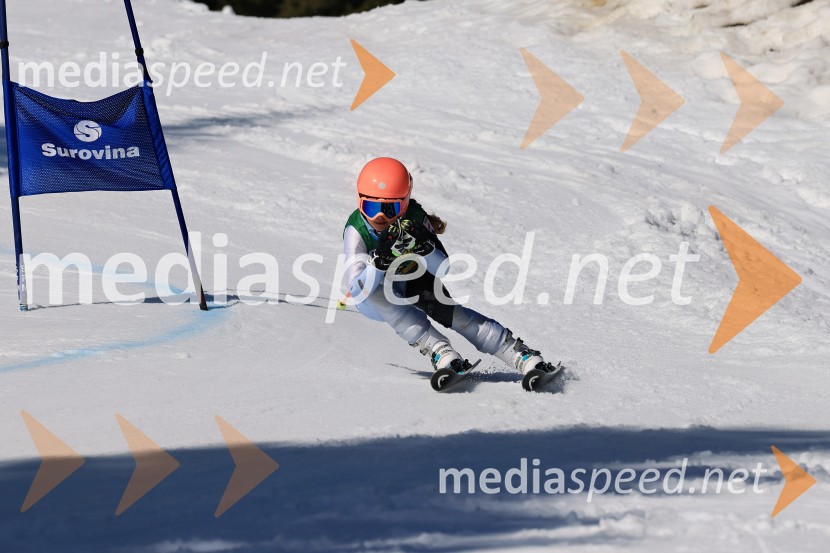 Koroški pokal 2026 - 4. tekma, Kope