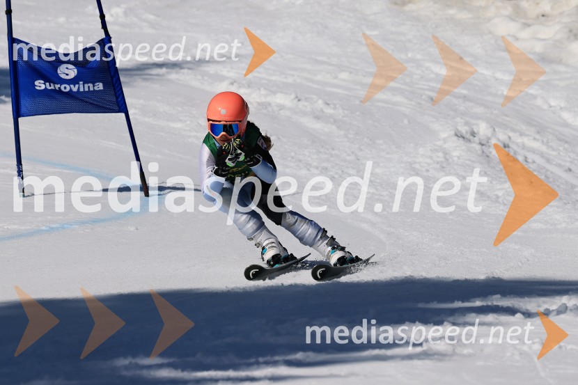 Koroški pokal 2026 - 4. tekma, Kope