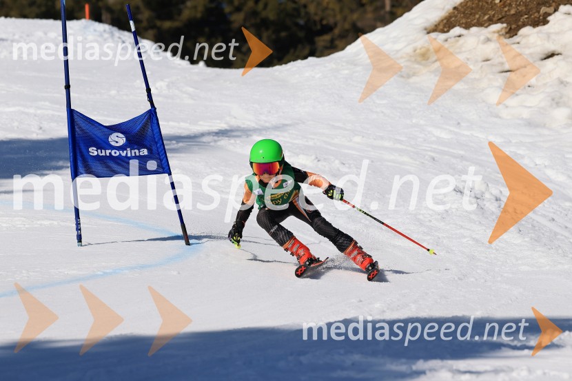 Koroški pokal 2026 - 4. tekma, Kope