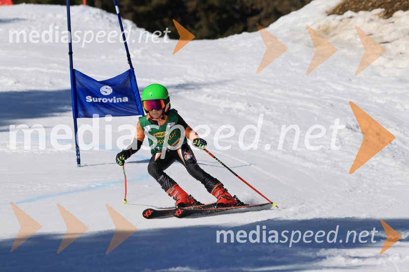 Koroški pokal 2026 - 4. tekma, Kope