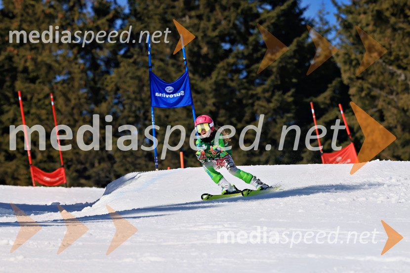 Koroški pokal 2026 - 4. tekma, Kope