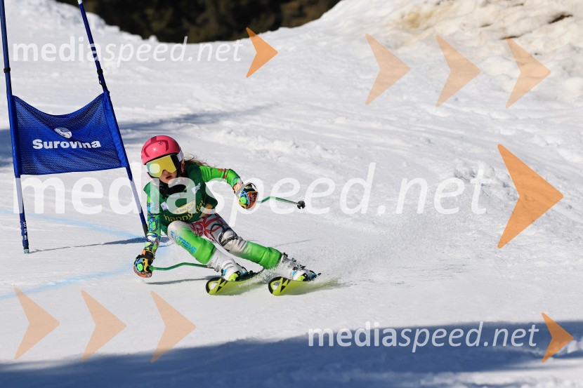 Koroški pokal 2026 - 4. tekma, Kope