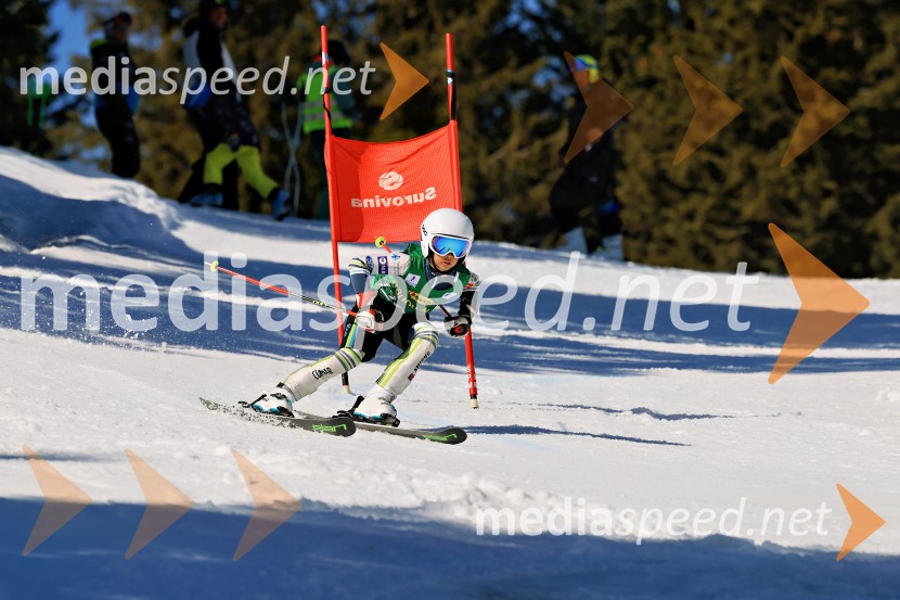 Koroški pokal 2026 - 4. tekma, Kope