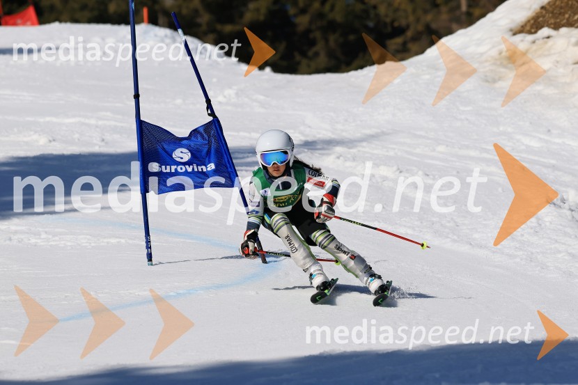 Koroški pokal 2026 - 4. tekma, Kope