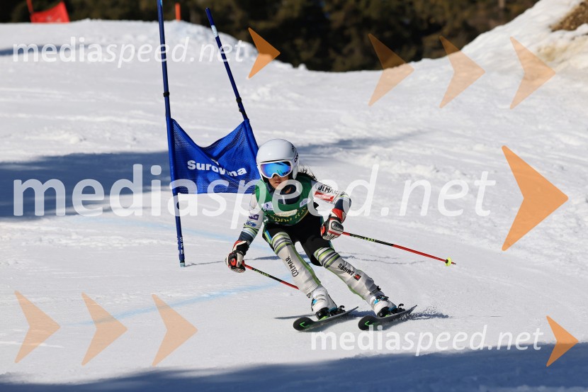 Koroški pokal 2026 - 4. tekma, Kope