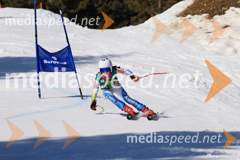 Koroški pokal 2026 - 4. tekma, Kope