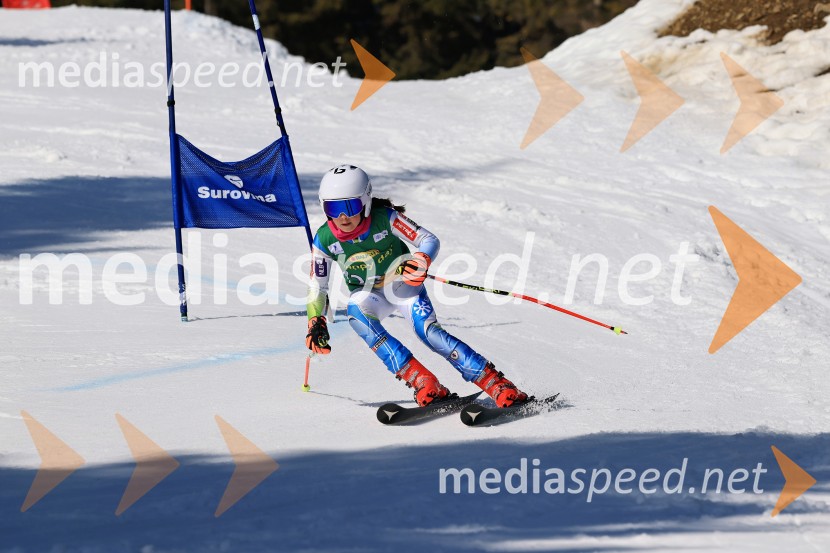 Koroški pokal 2026 - 4. tekma, Kope
