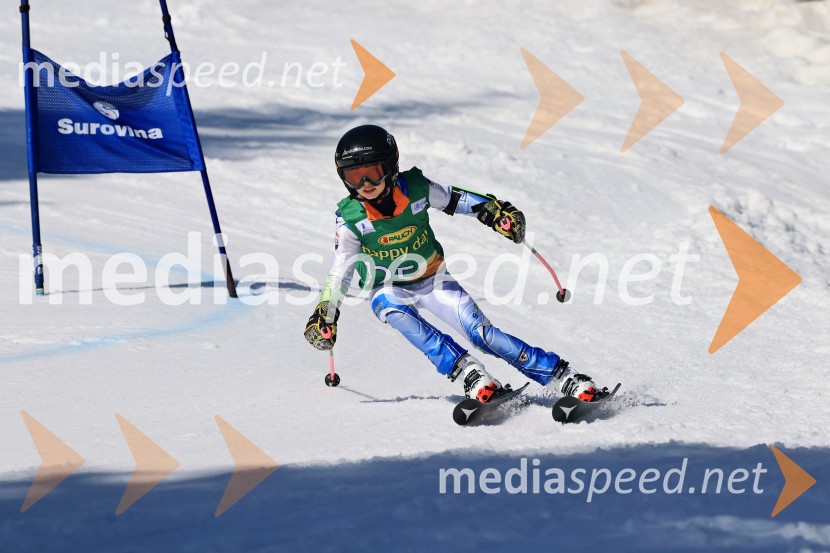 Koroški pokal 2026 - 4. tekma, Kope