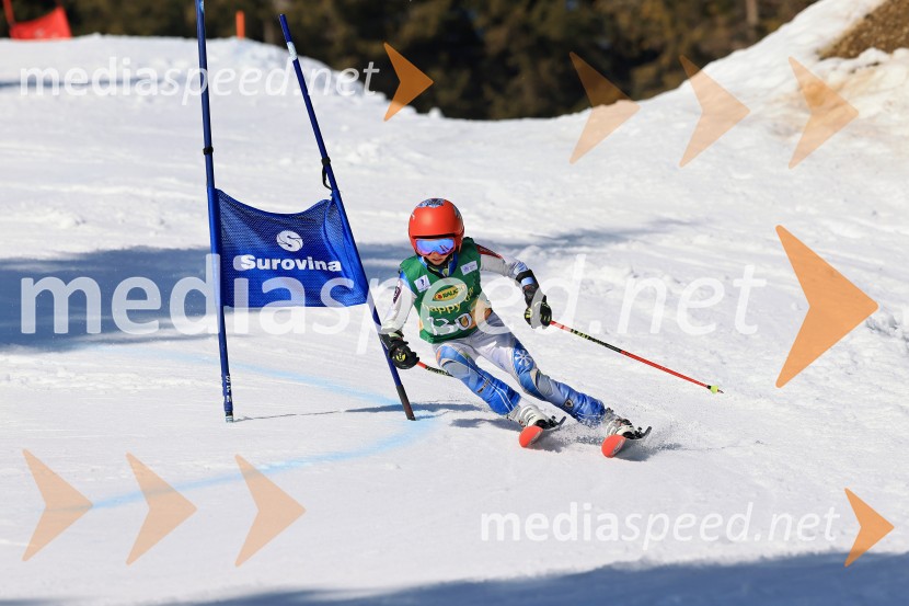 Koroški pokal 2026 - 4. tekma, Kope