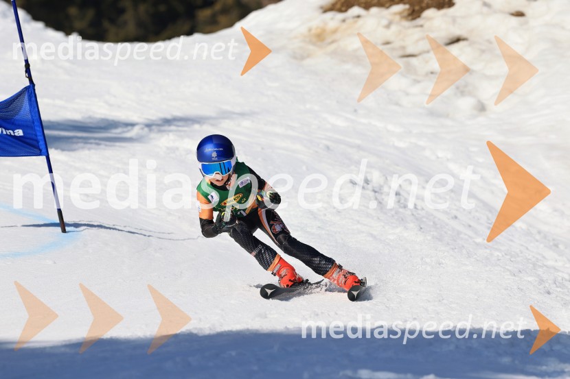 Koroški pokal 2026 - 4. tekma, Kope