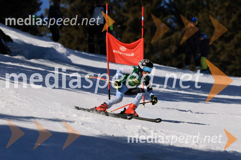 Koroški pokal 2026 - 4. tekma, Kope