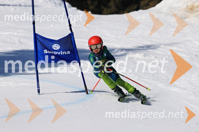 Koroški pokal 2026 - 4. tekma, Kope