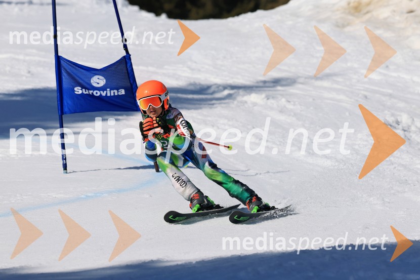 Koroški pokal 2026 - 4. tekma, Kope