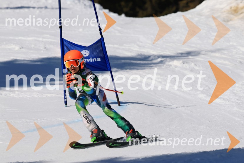Koroški pokal 2026 - 4. tekma, Kope