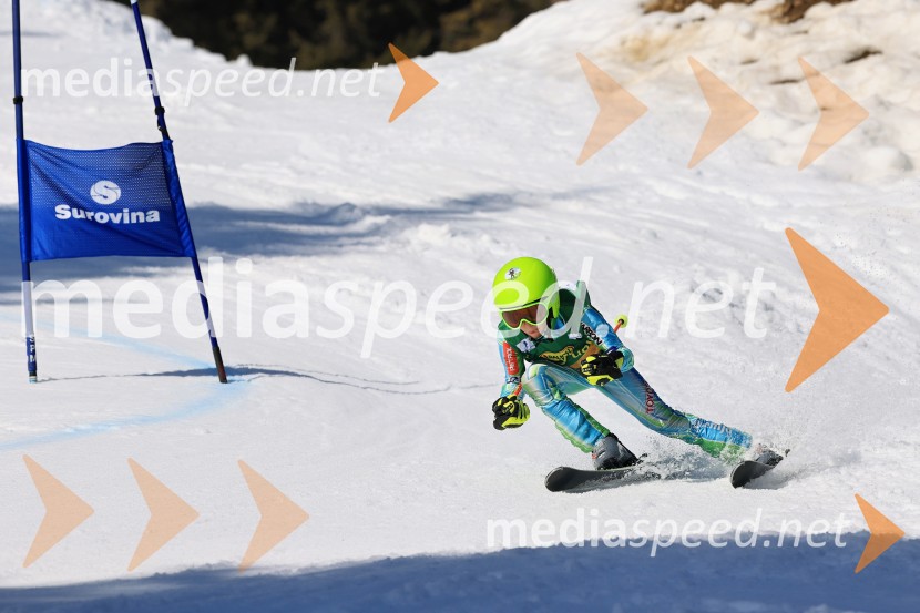 Koroški pokal 2026 - 4. tekma, Kope