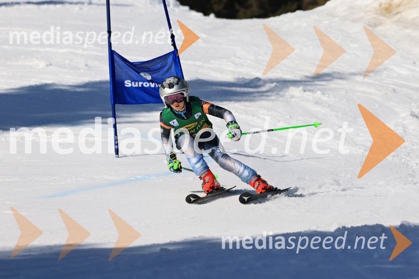 Koroški pokal 2026 - 4. tekma, Kope