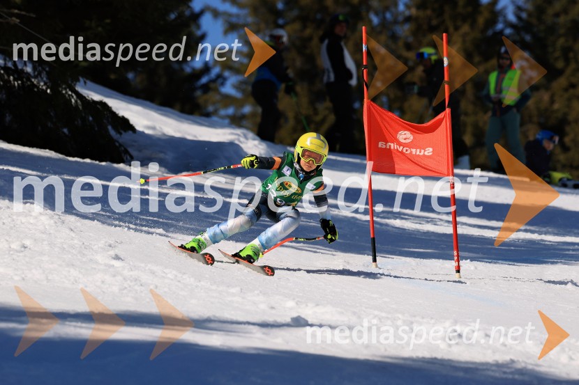 Koroški pokal 2026 - 4. tekma, Kope