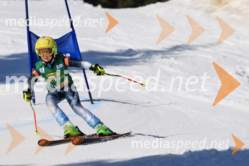 Koroški pokal 2026 - 4. tekma, Kope