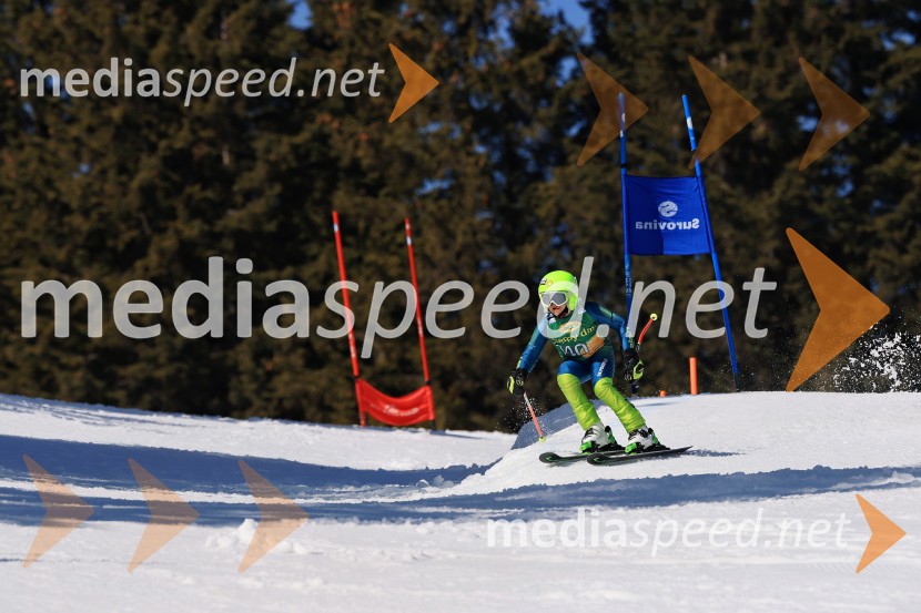 Koroški pokal 2026 - 4. tekma, Kope