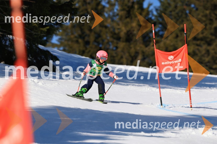Koroški pokal 2026 - 4. tekma, Kope