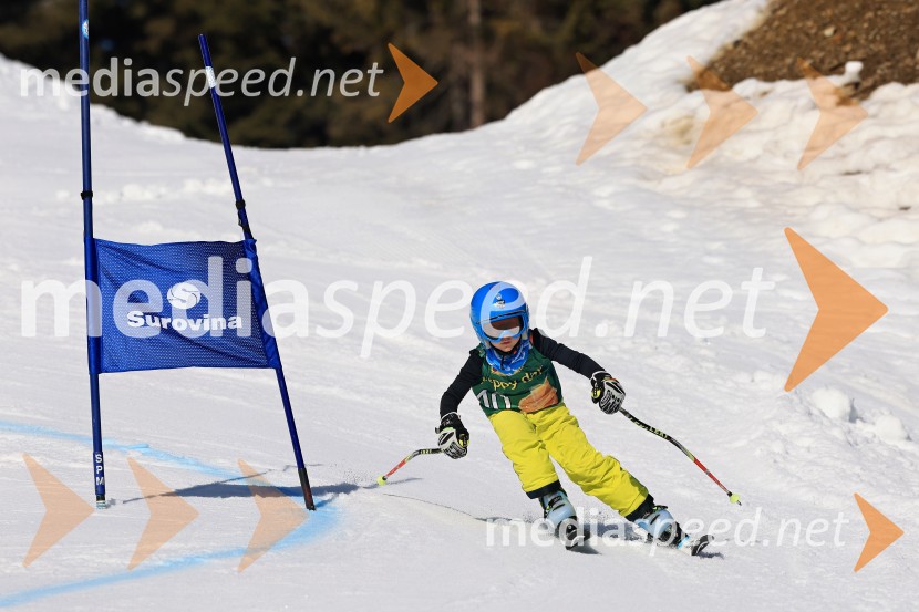 Koroški pokal 2026 - 4. tekma, Kope