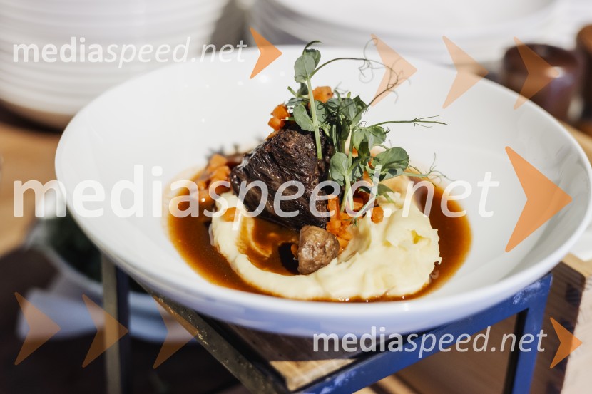 BYD uradno vstopa na slovenski trg