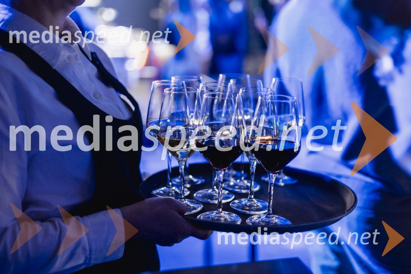 BYD uradno vstopa na slovenski trg