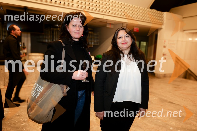 28. Festival dokumentarnega filma, odprtje, Cankarjev dom