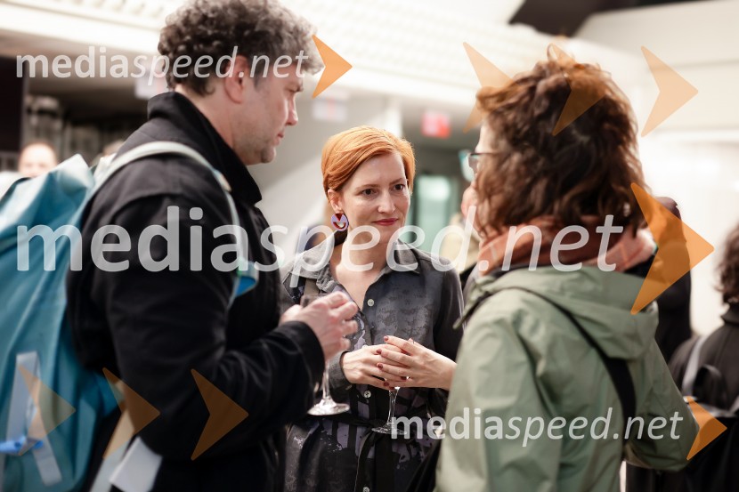 28. Festival dokumentarnega filma, odprtje, Cankarjev dom