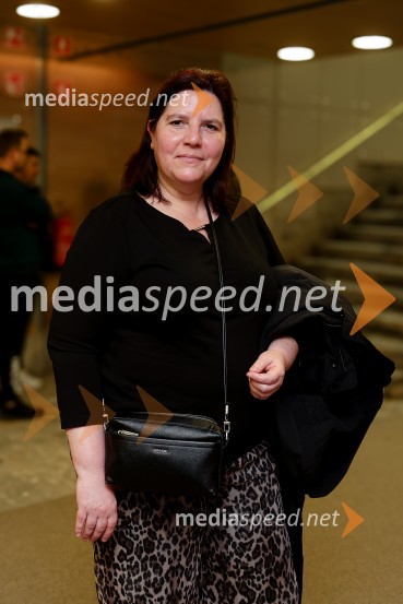 28. Festival dokumentarnega filma, odprtje, Cankarjev dom