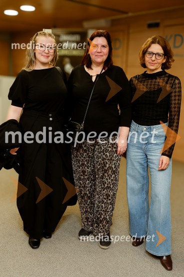 28. Festival dokumentarnega filma, odprtje, Cankarjev dom