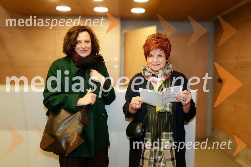 28. Festival dokumentarnega filma, odprtje, Cankarjev dom